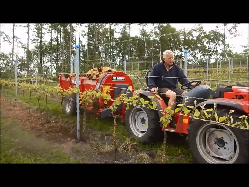 ANNOVI vineyard manure spreader video