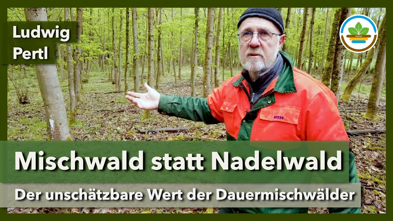 Dauermischwald - Gestaltung, Pflege, Wirtschaftlichkeit | IG Gesunder Boden | Waldtag 2024