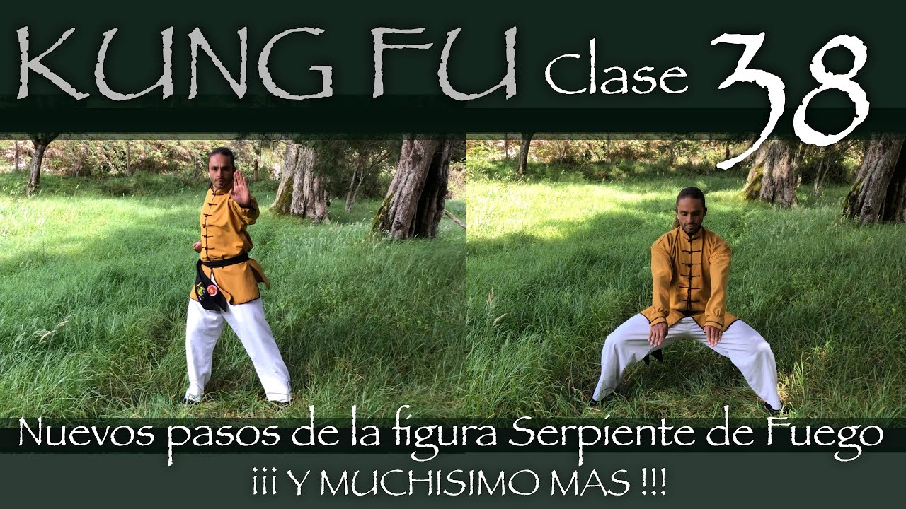 Nuevos pasos de la figura Serpiente de Fuego / estilos que practicamos y mas * Clase 38 de Kung Fu *
