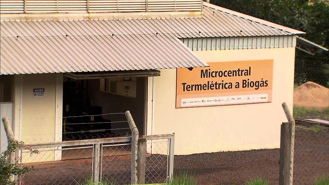 Projeto sustentável gera energia elétrica com resíduos de animais