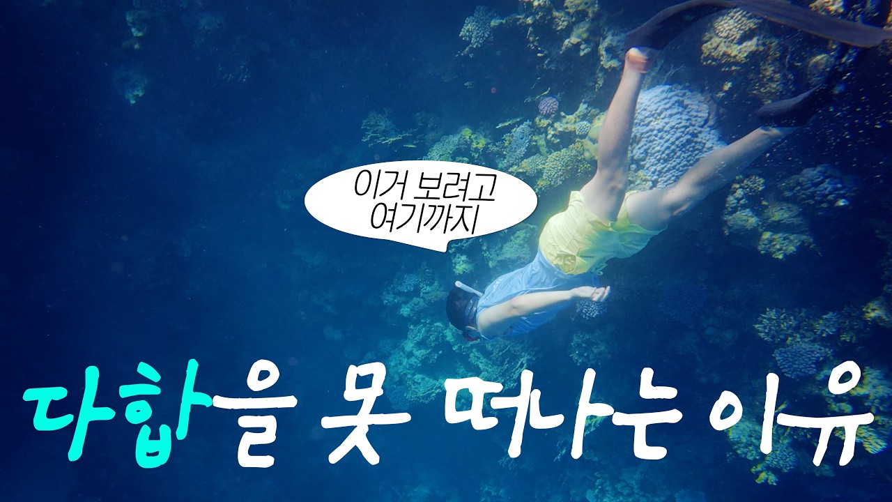 마지막날에서야 다녀온 다합 끝판왕 블루홀