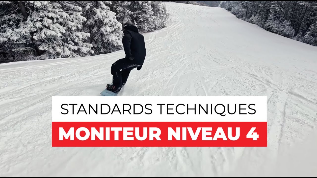 Moniteur de niveau 4 de l'ACMS : Standards techniques (2024)