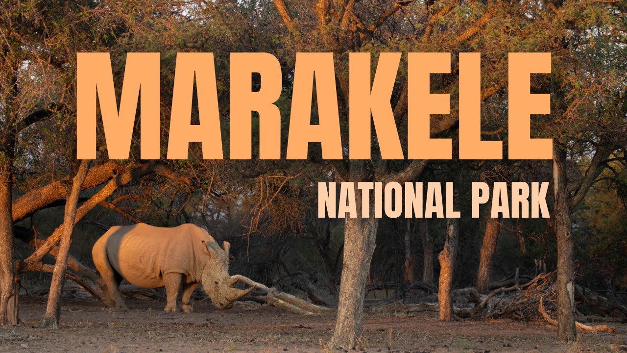 Marakele National Park | Magic in the Waterberg Mountains | South Africa | 2024