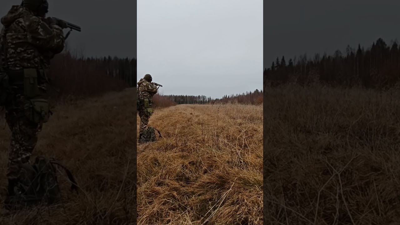 Моё хобби / Стрельба в лесу #hobby #music #song #forest #shoot #shotgunking #хобби #осень #лес