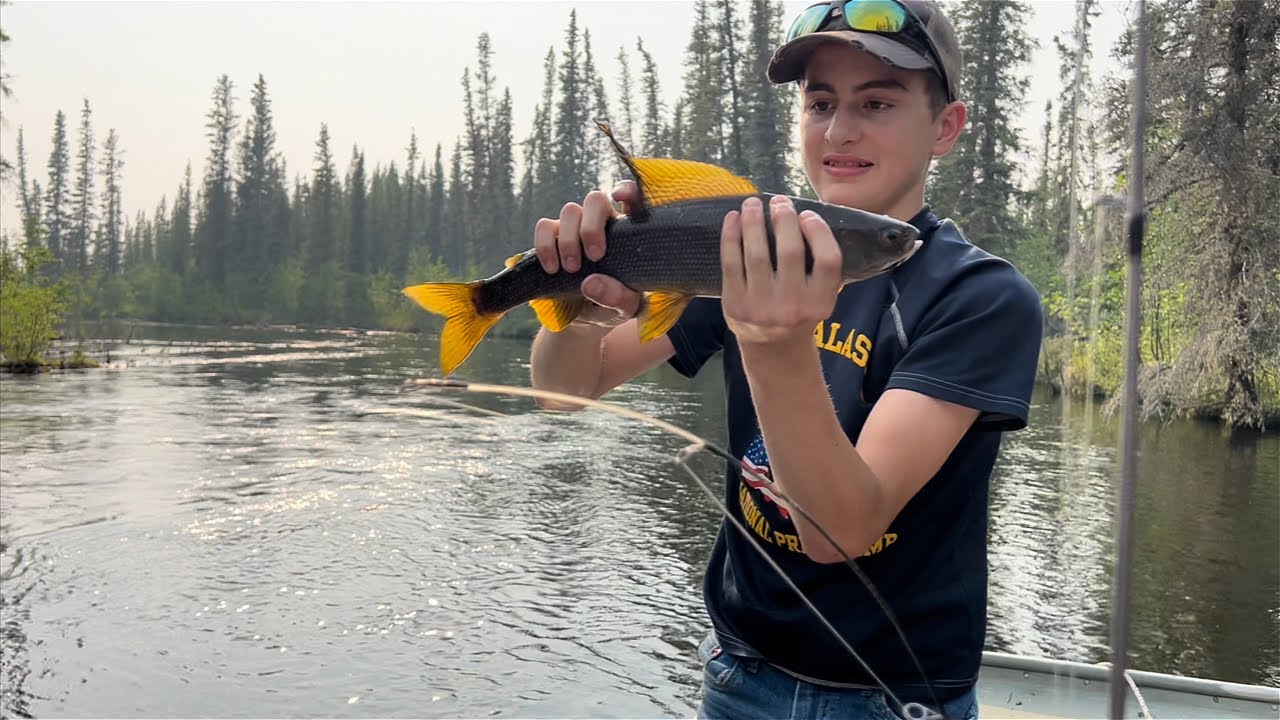 One of the best Grayling Fishing spots in Alaska