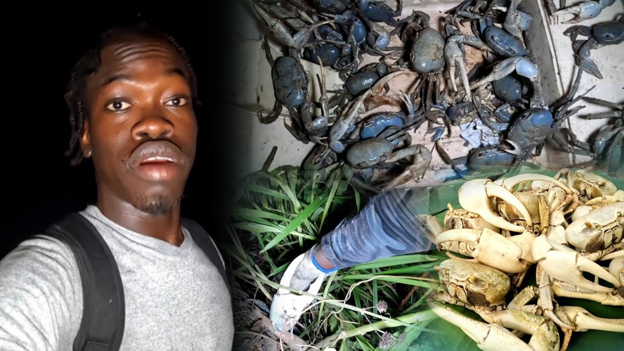 We Got Bite While Hunting Big Land Crabs | Catch Clean ñ Cook | Must Watch | Night Hunting🇯🇲