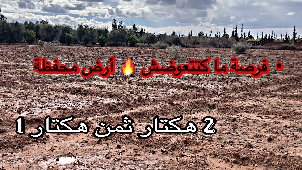 • 🔥 بقعة أرضية محفظة بثمن مناسب