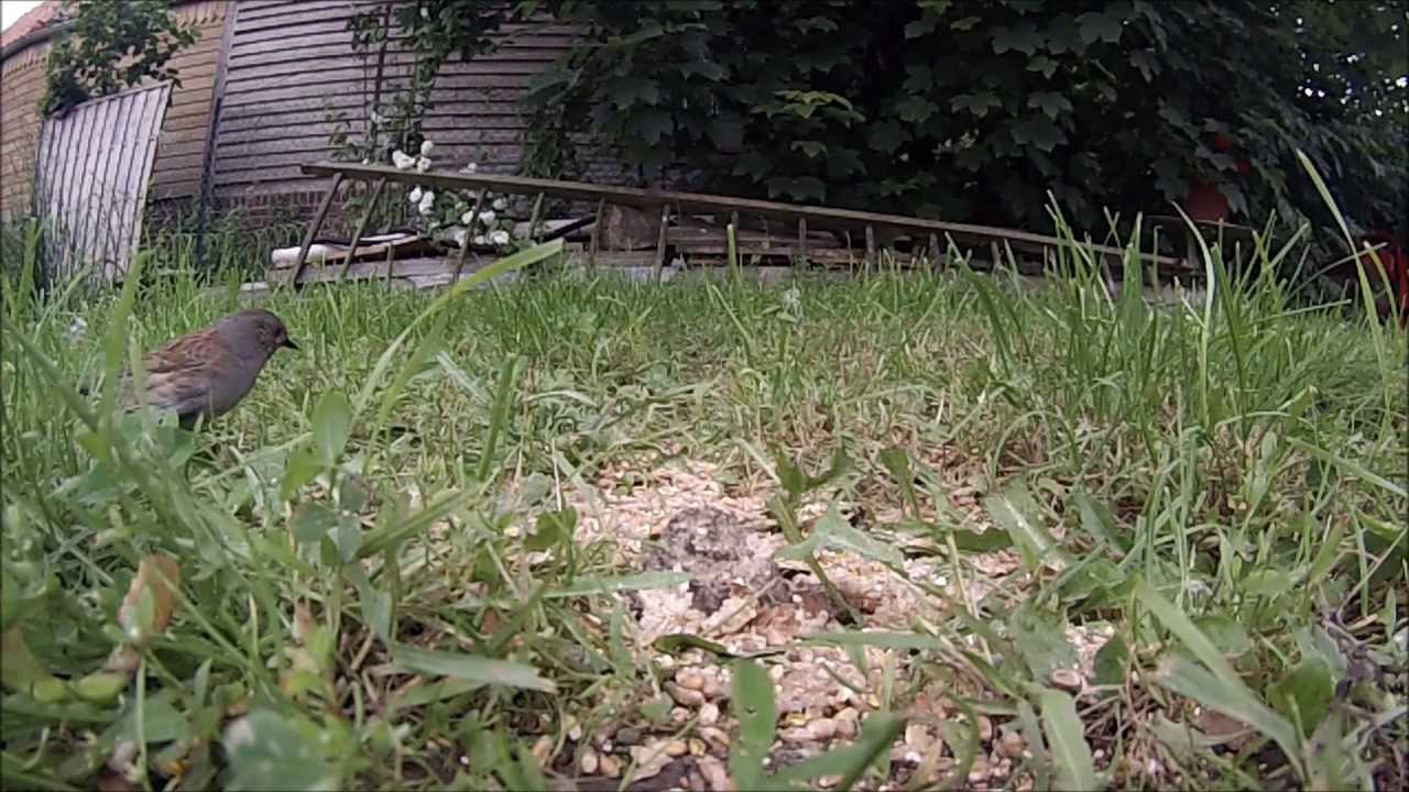 Gopro Hero 3 slow motion 0,125 % 60ips en 720