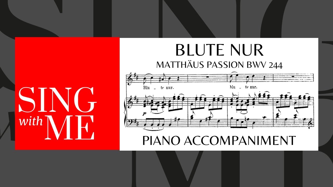 Blute nur du liebes Herz - Accompaniment - Matthäus-Passion - Bach