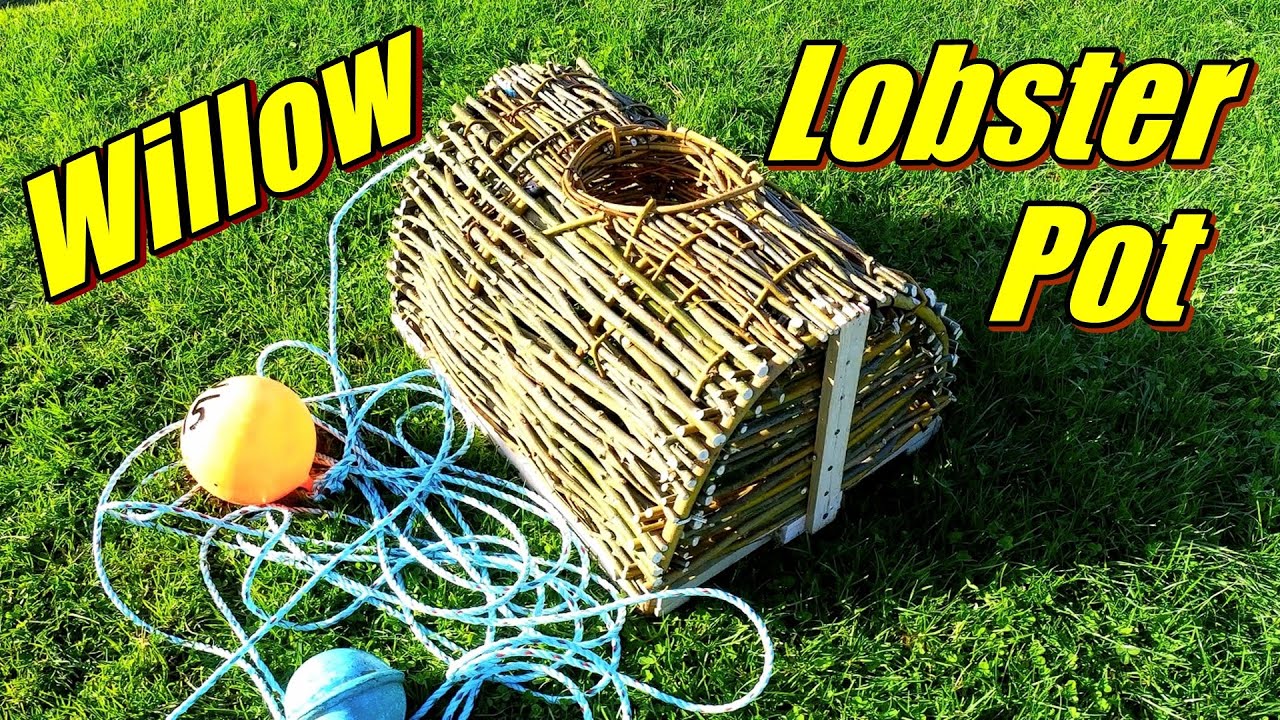 I Had an Idea to Build a Willow Wicker Lobster Pot - So We Did