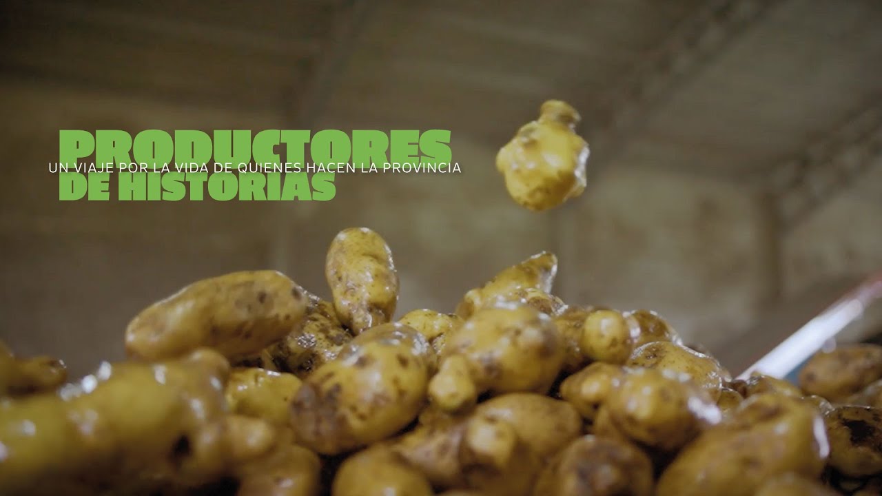 Productores de Historias | Dragado Puerto de Mar del Plata | #bancoprovincia