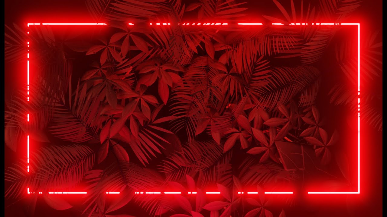 Abstract Red Neon Frame 3D Leaves Animated Cool VJ Loop Video Loop Moving Glowing Lights