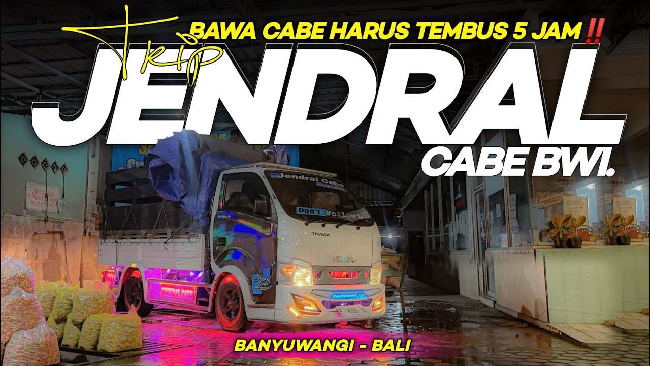 Traga j4hat‼️Trip perdana muat c4be traga Euro 4 lintas Bali 😍 (Jendral Cabe Banyuwangi)