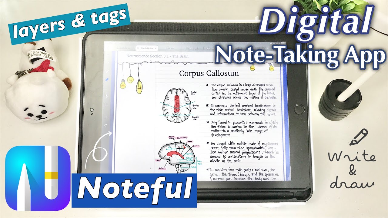 NOTEFUL App📝 A Digital Note App with Layers & Tagging for Online Class (Worth the Try!) ❤︎ Emmy Lou