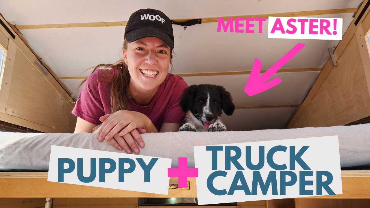 Training my new puppy to enjoy the truck camper!