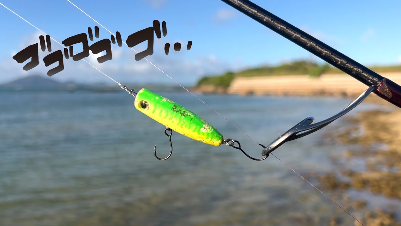 台風前の浅瀬で釣れる魚たち
