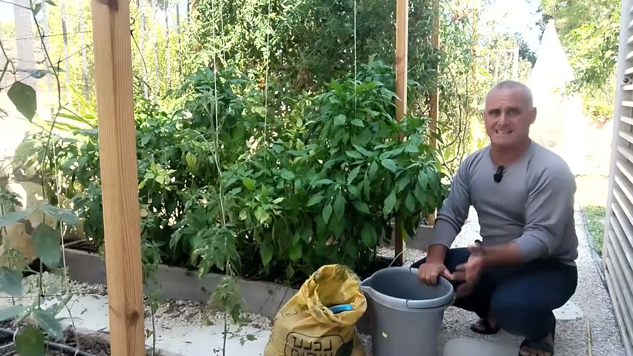 טיפול במחסור בברזל בגינת הירק
