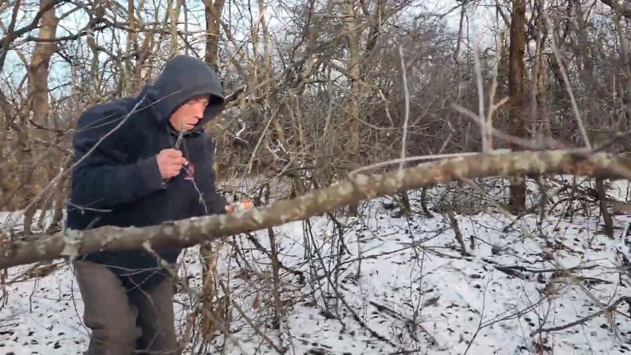 Зимний поход по грибы.