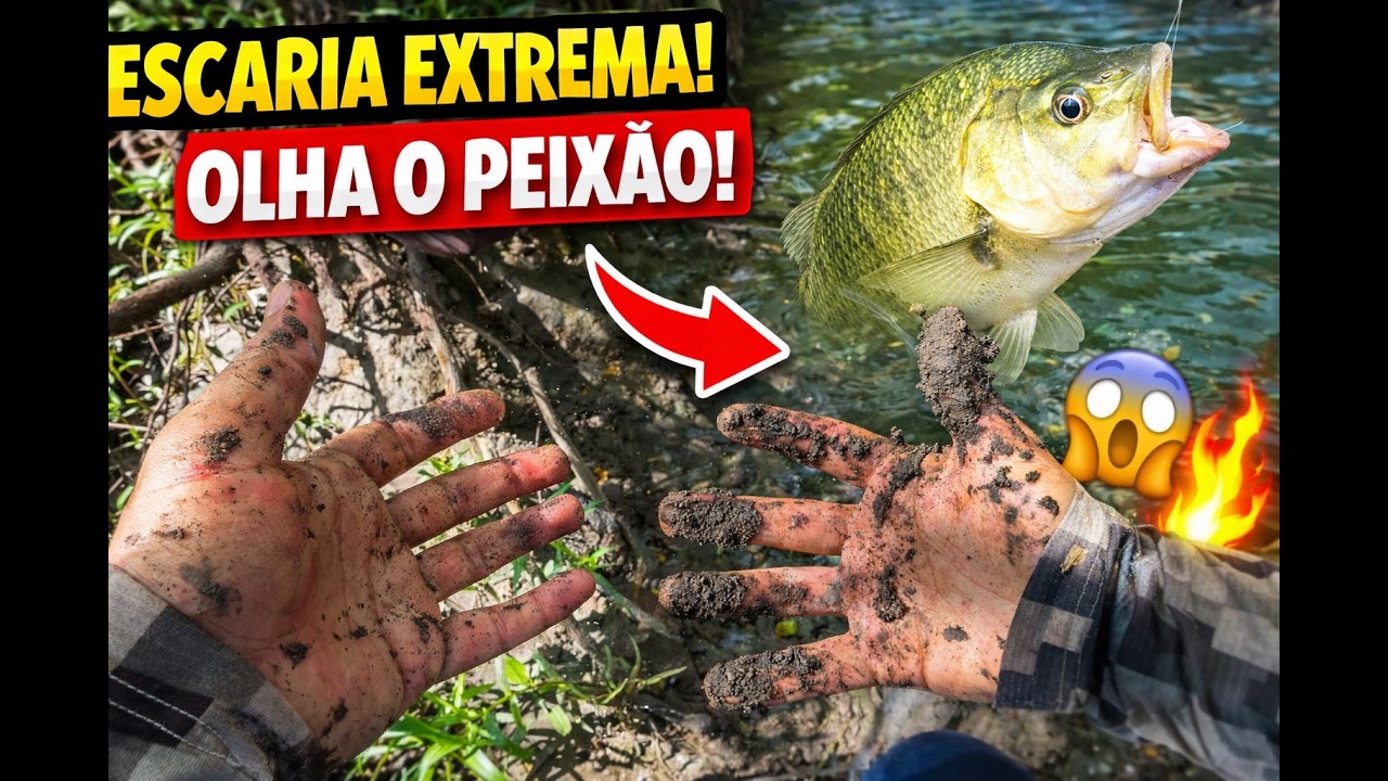 Desafio EXTREMO de pescaria! Quase impossível, mas conseguimos fisgar 🎣