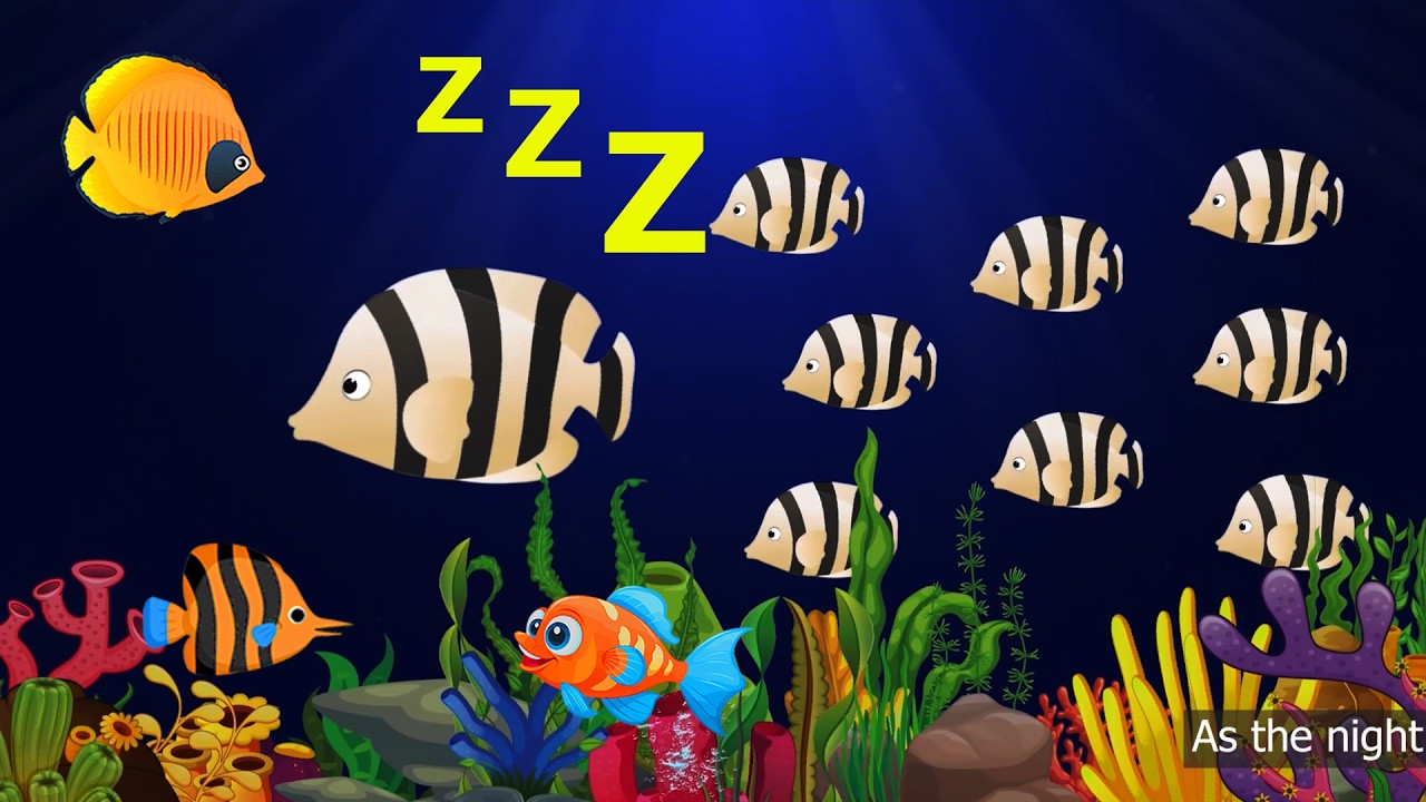 Sleep Instantly Within 3 Minutes ♥ Mozart Brahms Lullaby ♫ Lullaby for Babies to Go to Sleep #391