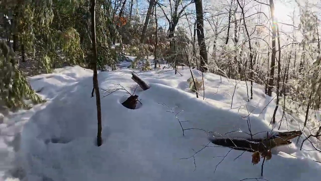 4K POV Winter Forest Hike | Peaceful Snow Walk with ASMR Footsteps | Middlesex Fells Reservation MA