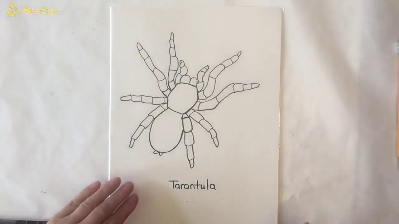 How to Draw a Tarantula &ndash; Kids Art