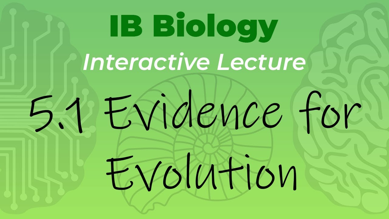 [OLD2016] IB Biology 5.1 - Evidence for Evolution - Interactive Lecture