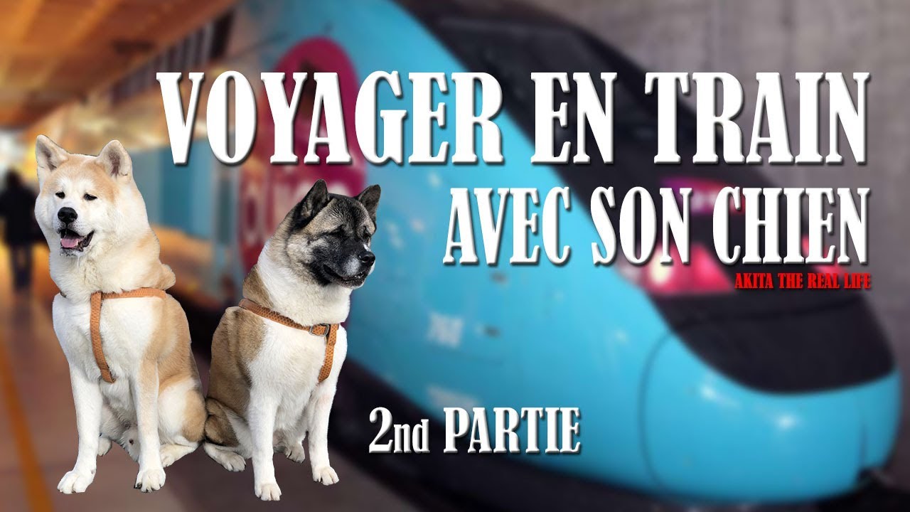 VOYAGER EN TRAIN AVEC SON CHIEN 2nd PARTIE