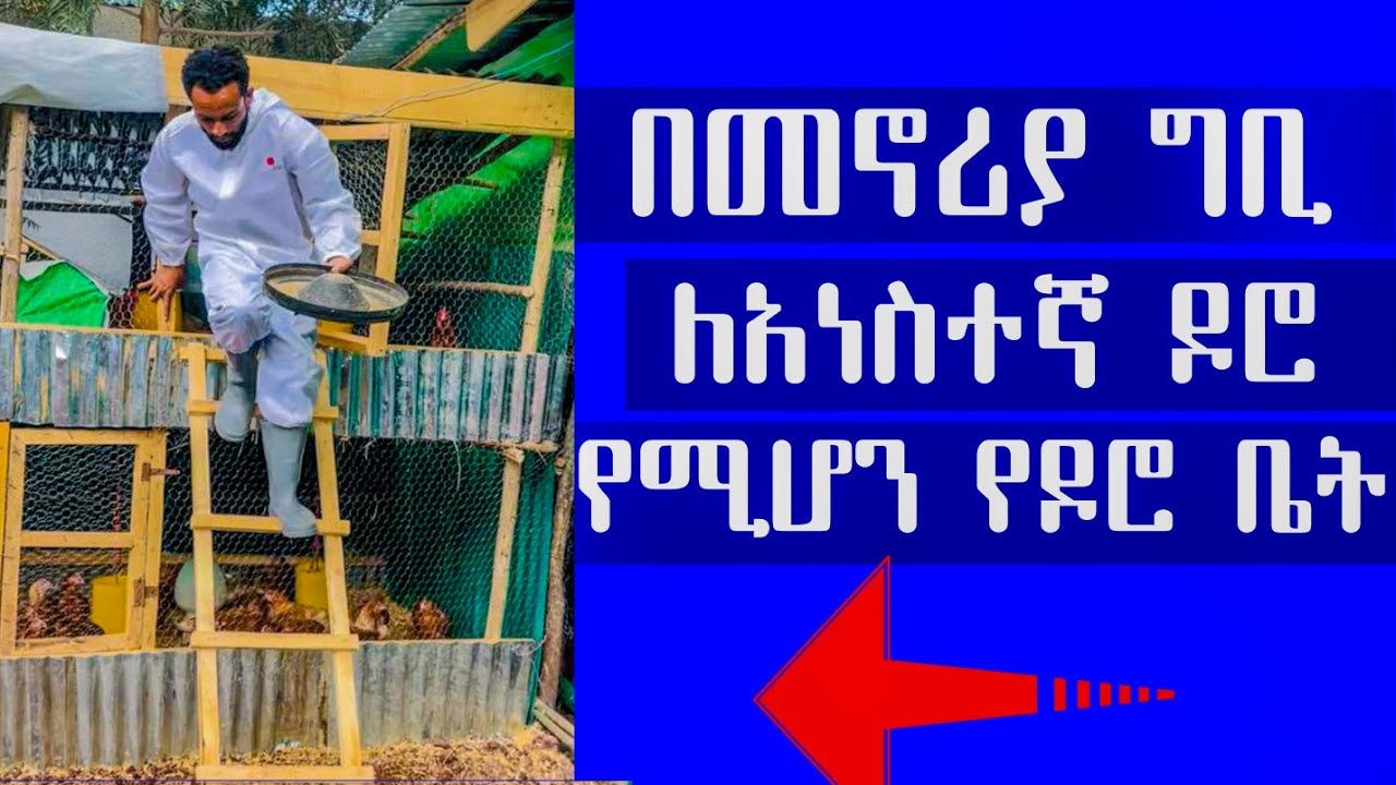 ለመኖሪያ ግቢ የሚሆን አነስተኛ የዶሮ ቤት አሰራር