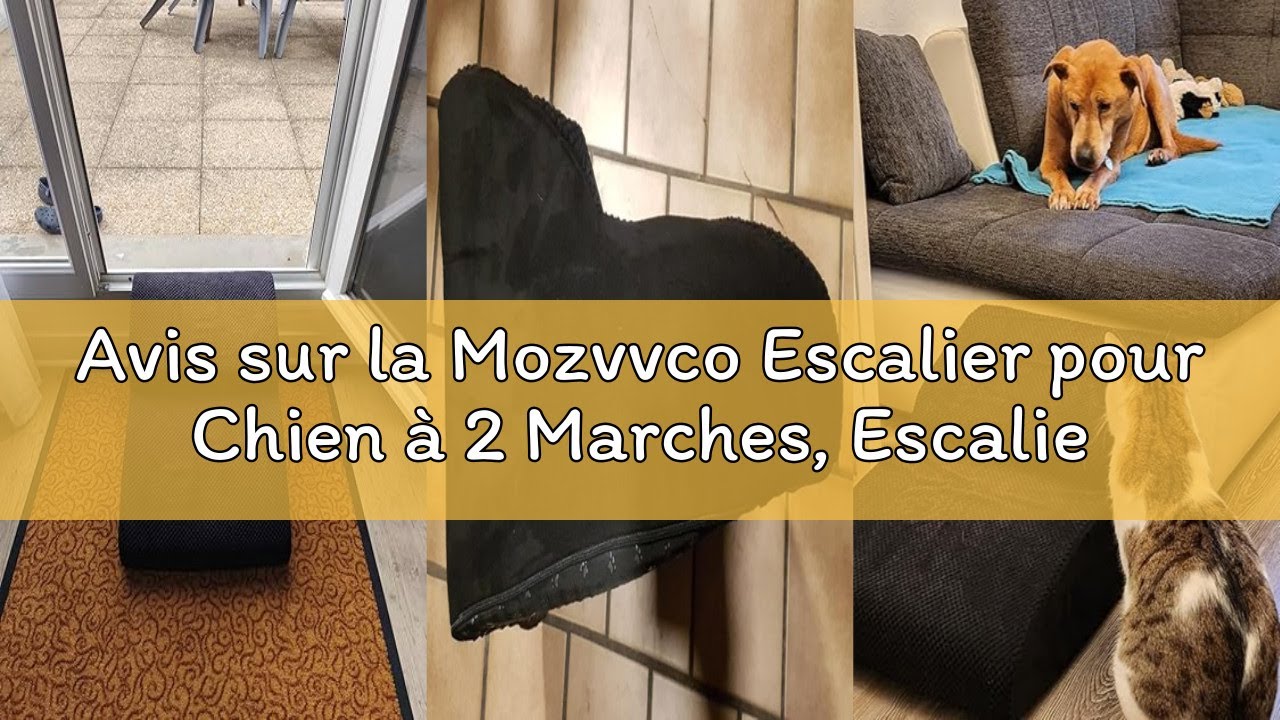 Avis sur la Mozvvco Escalier pour Chien à 2 Marches, Escalier pour Animaux en Mousse Haute Densité a