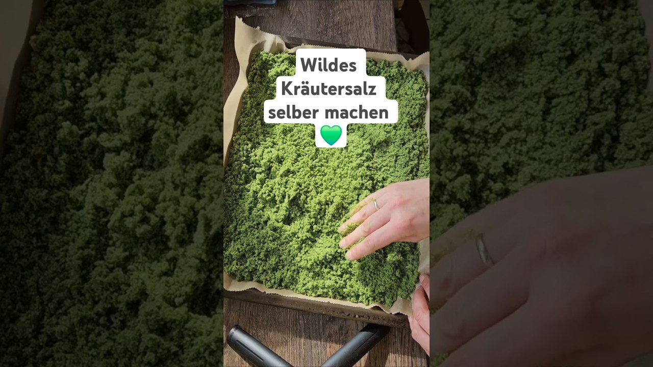 Wildes Kr&auml;utersalz einfach selber machen