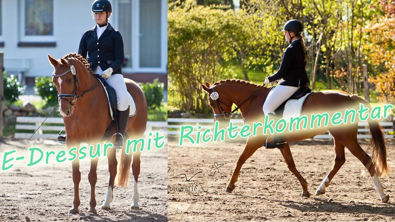 [Turnier] E-Dressur mit Richterkommentar - SIEG 7,6