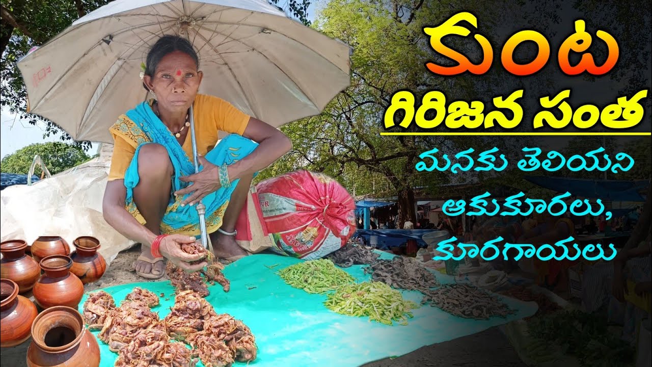 ఇన్ని ఆదివాసి భాషలను కలిపిన కుంట సంత/ Biggest Tribal Market@TribalMirror