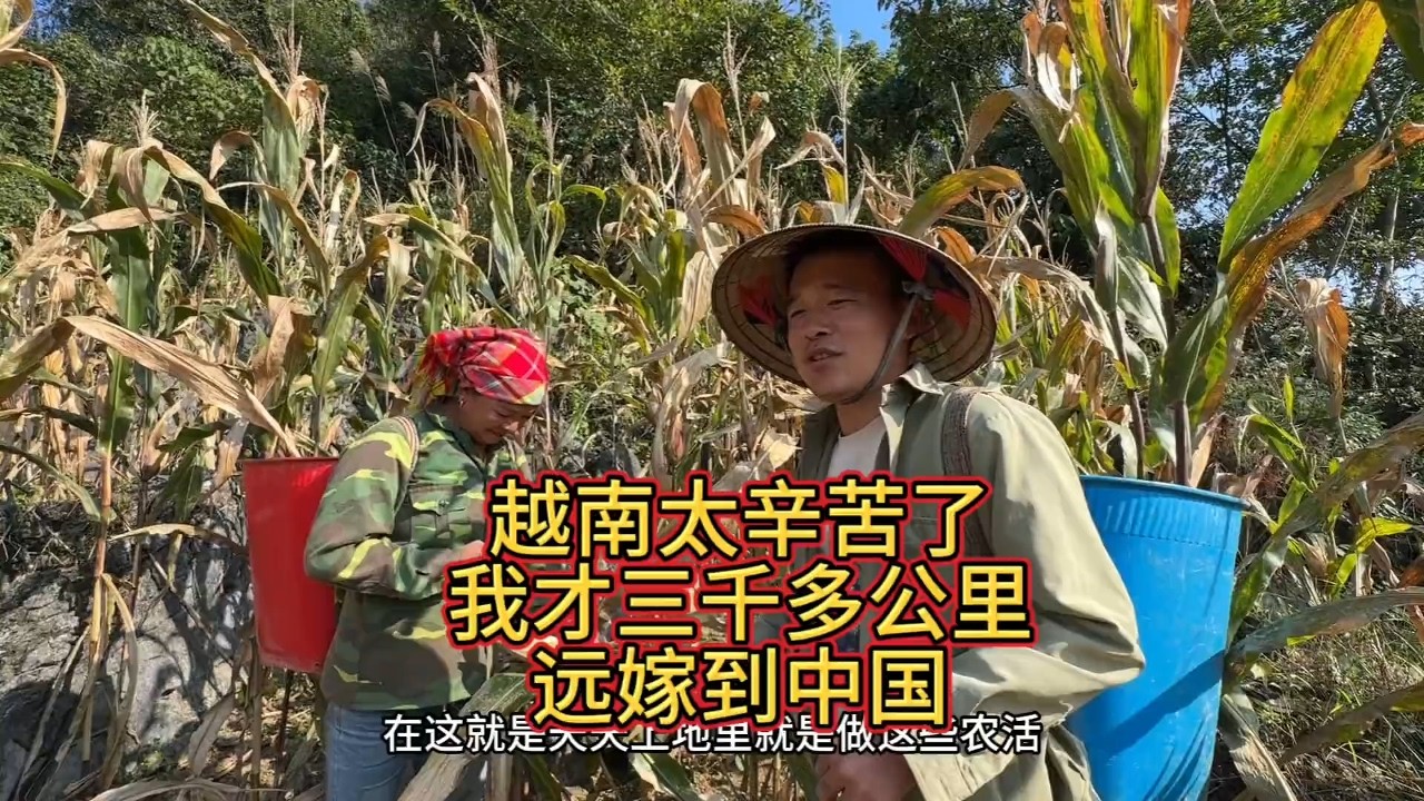 嫁到中国真的能改变命运，我嫁到中国比谁的生活都好还不用干农活#越南生活 #越南农村 #越南女孩