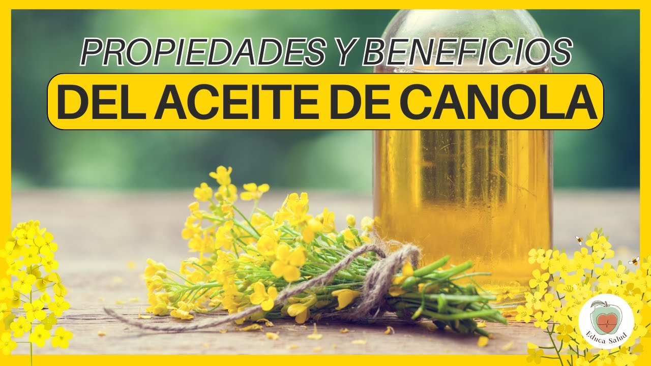EL ACEITE DE CANOLA ¿Bueno Para la SALUD?