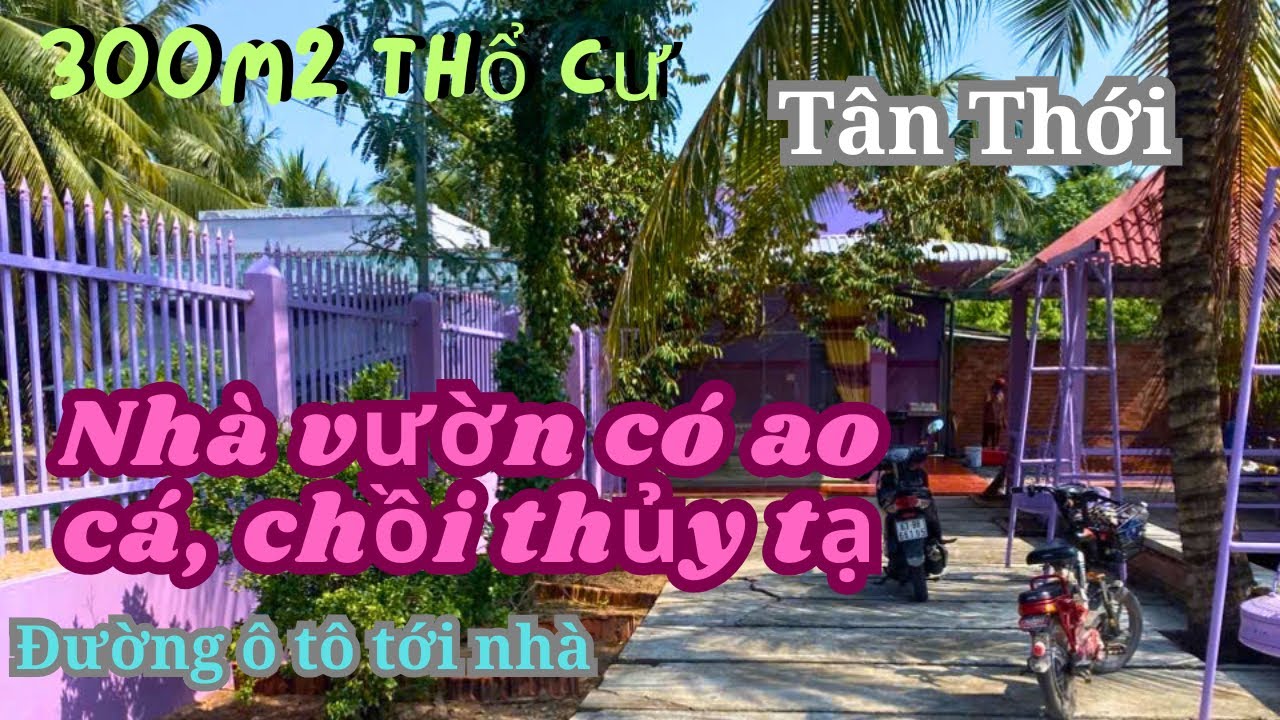 MS1977: NHÀ VƯỜN 300M2 THỔ CƯ XÃ TÂN THỚI GIÁ RẺ 