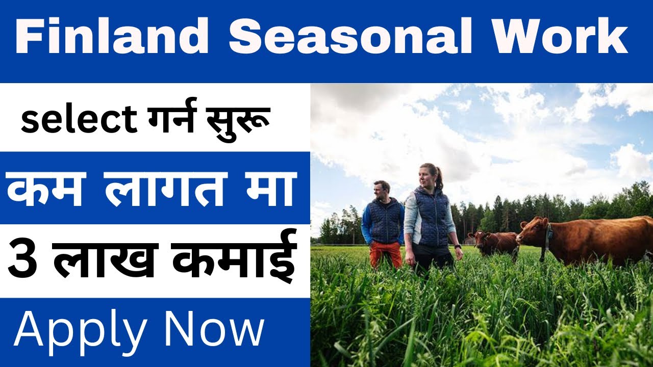 Finland मा खुल्यो Seasonal work visa | how to apply finland seasonal work visa | #finlandvisa