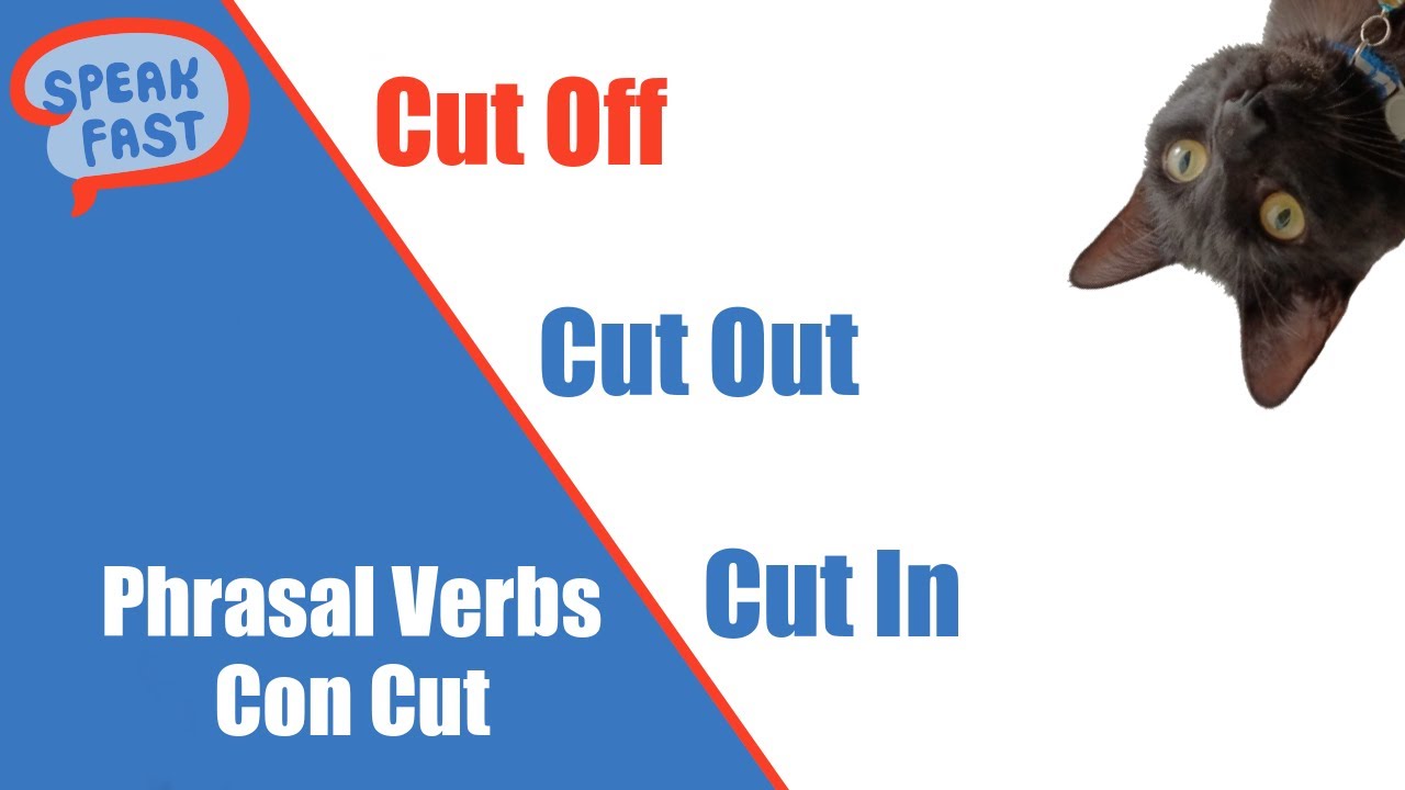 Cut Back, Cut Out,  Cut Off, Todos los Phrasal Verbs con CUT