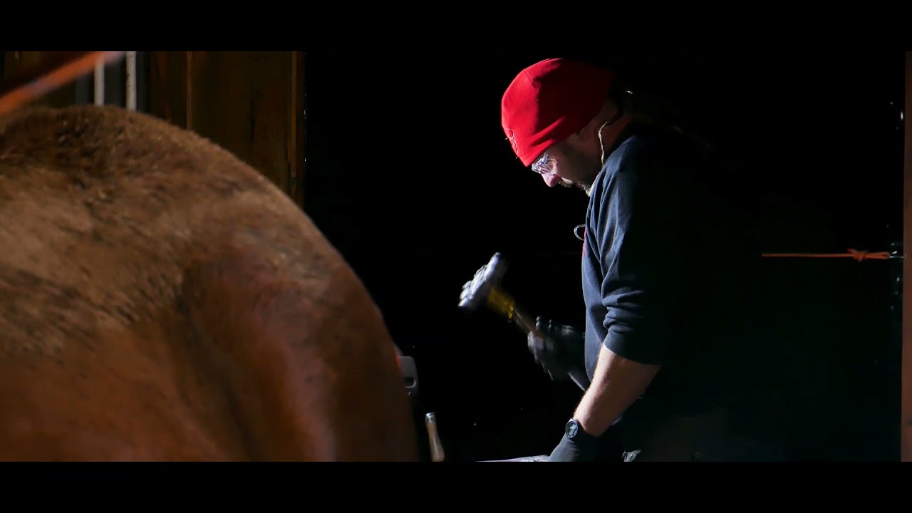 PODKUWACZ KONI Julia Paczkowska 11lat