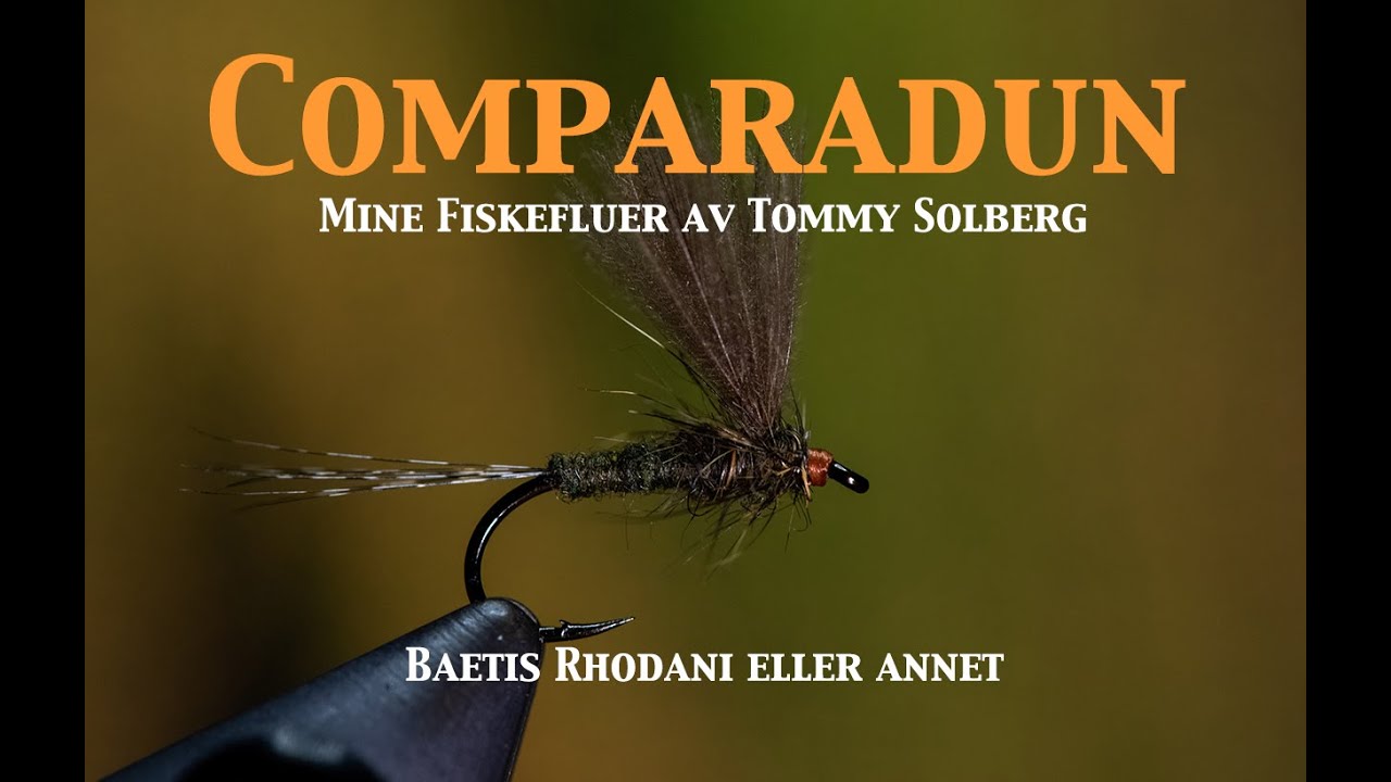 Fluebinding av Baetis Rhodani comparadun. #minefiskefluer #comparadun #baetisrhodani