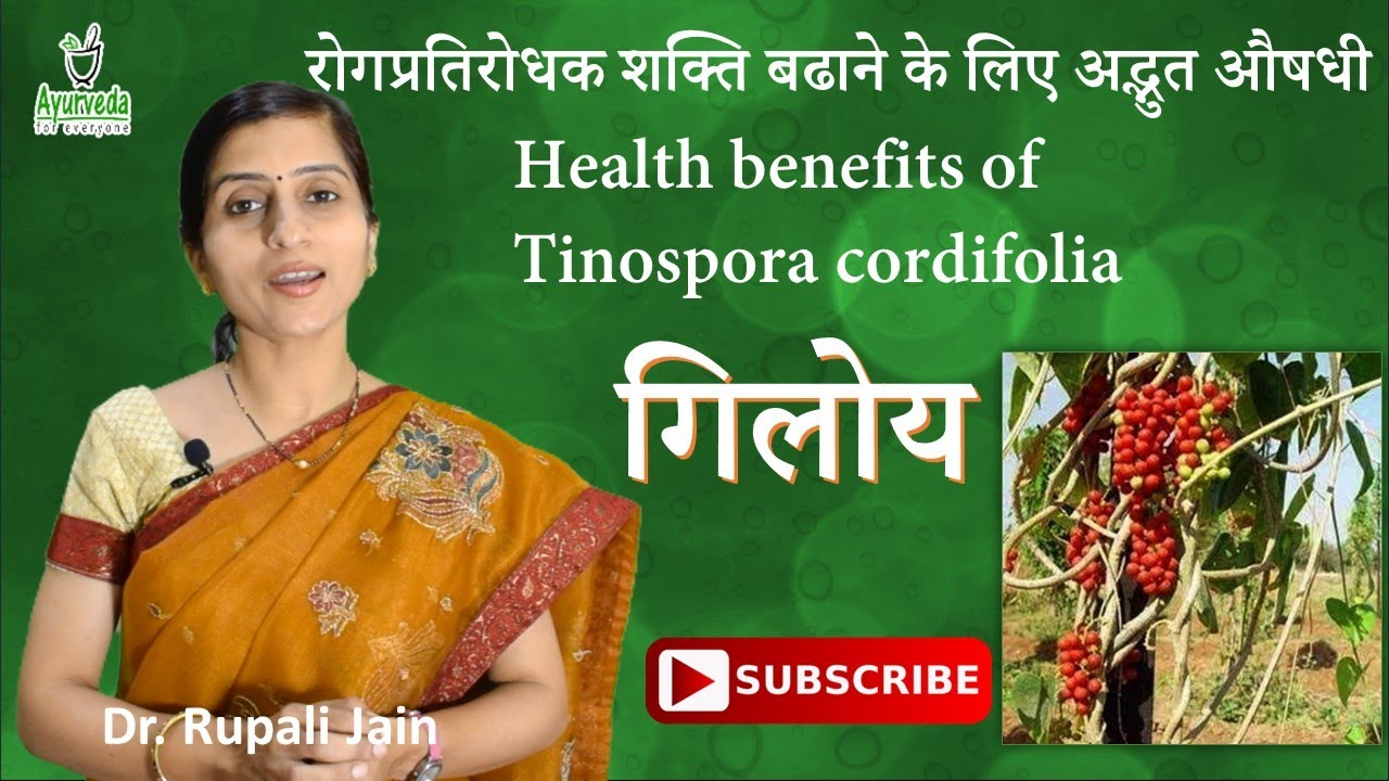 गिलोय के फायदे ,औषधि गुण और सेवन विधि || Best Medicine to Boost Immunity  || Dr. Rupali Jain ||