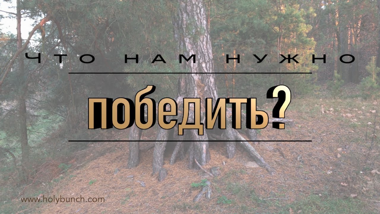 Что нам нужно победить?  | Проповедь. Герман Бем