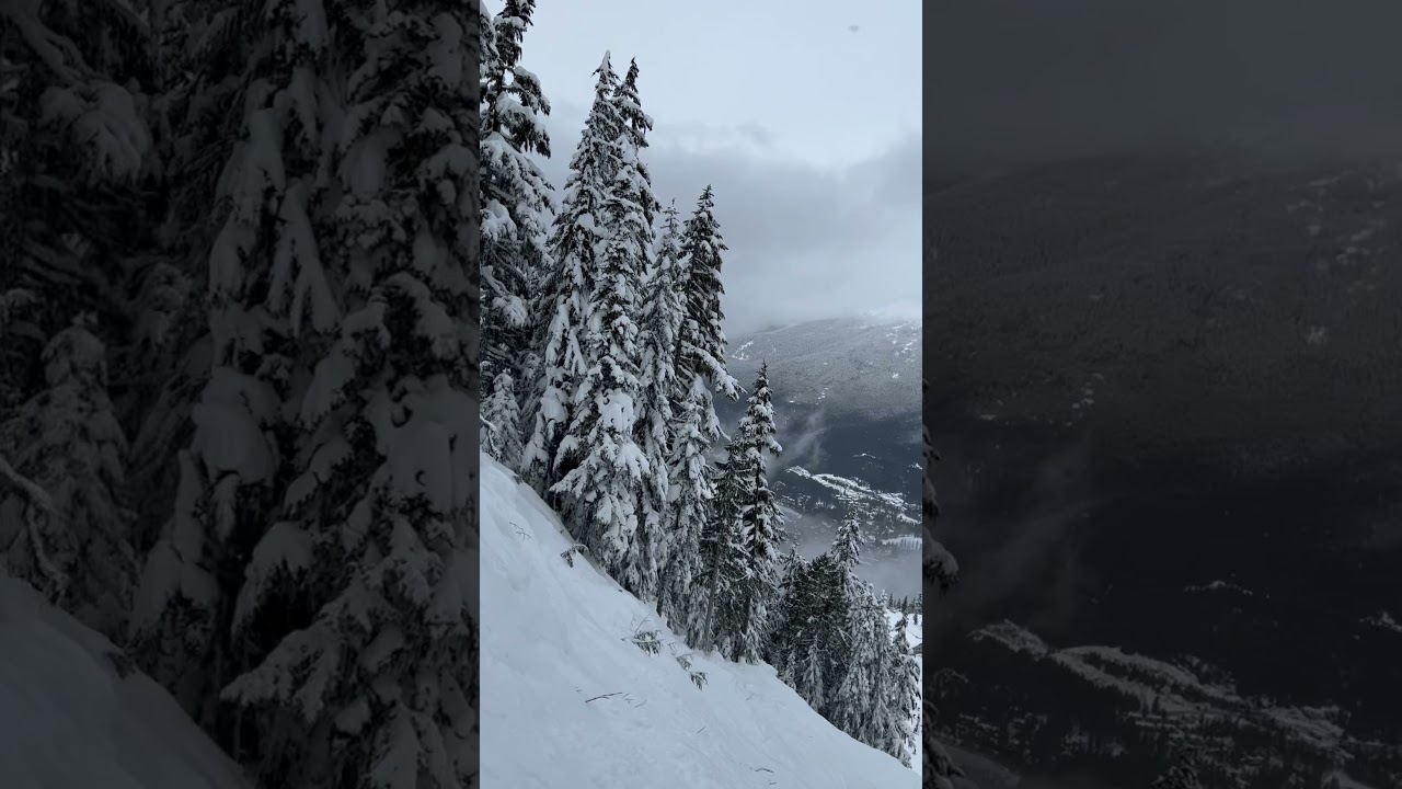 Goats Gully on Whistler March 11 2024