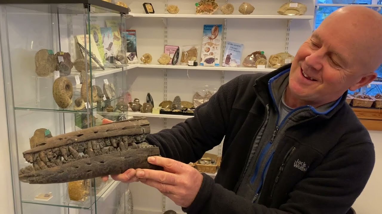Lyme Regis Fossils- How To Identify A Fossil .