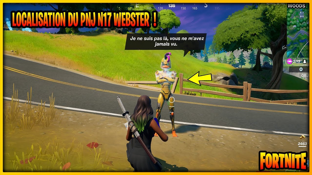 LOCALISATION DU PNJ N°17 ' WEBSTER ' ! SAISON 6 [ FORTNITE ]
