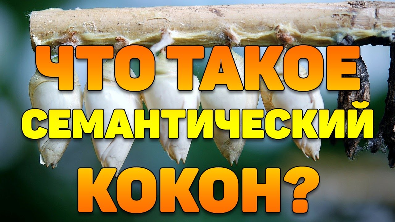 Что такое семантический кокон в SEO?