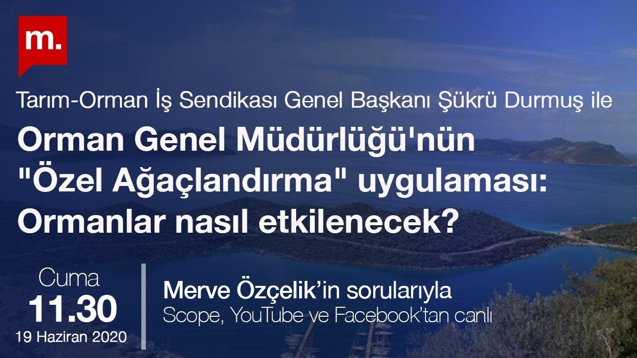 Orman Genel Müdürlüğü'nün 