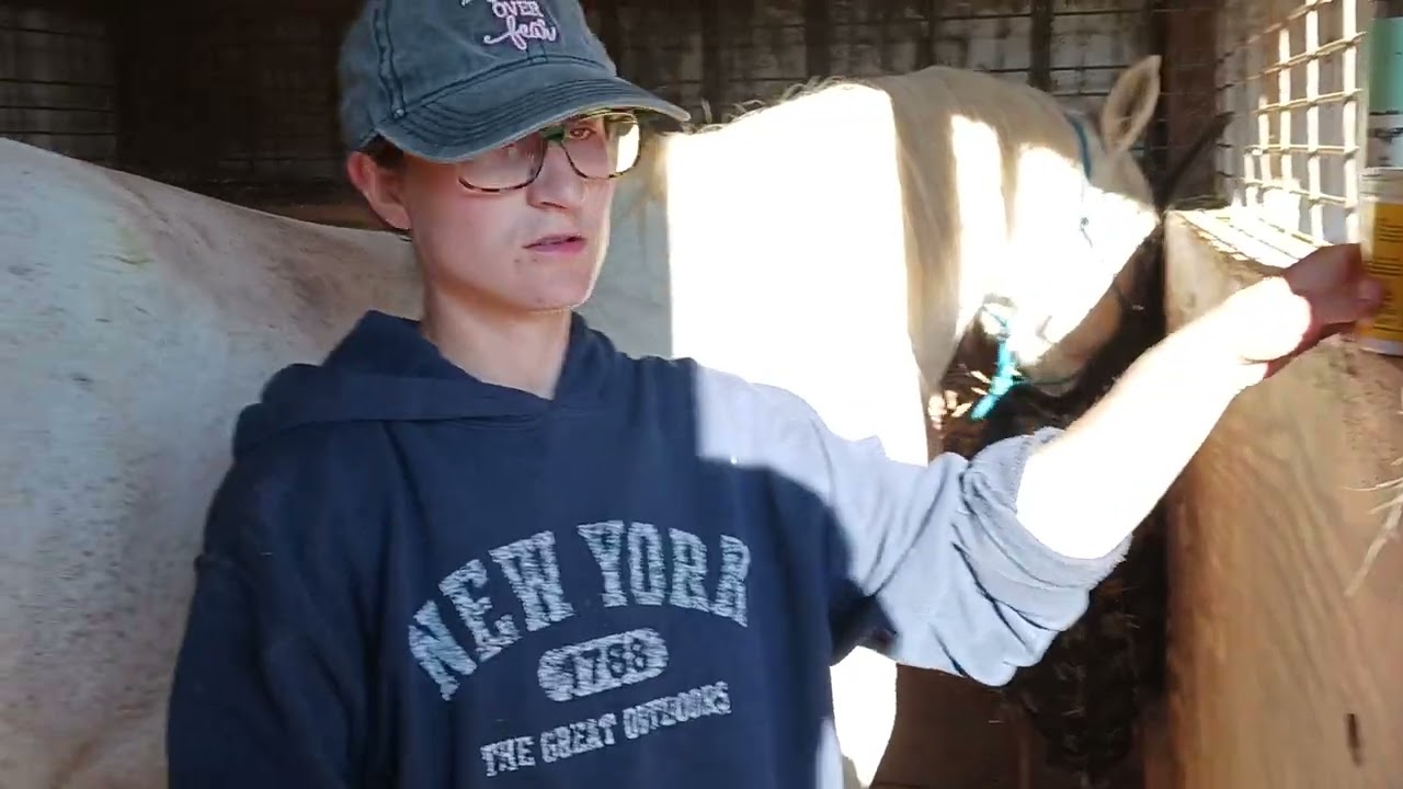 How To Clean A Mare's Udders