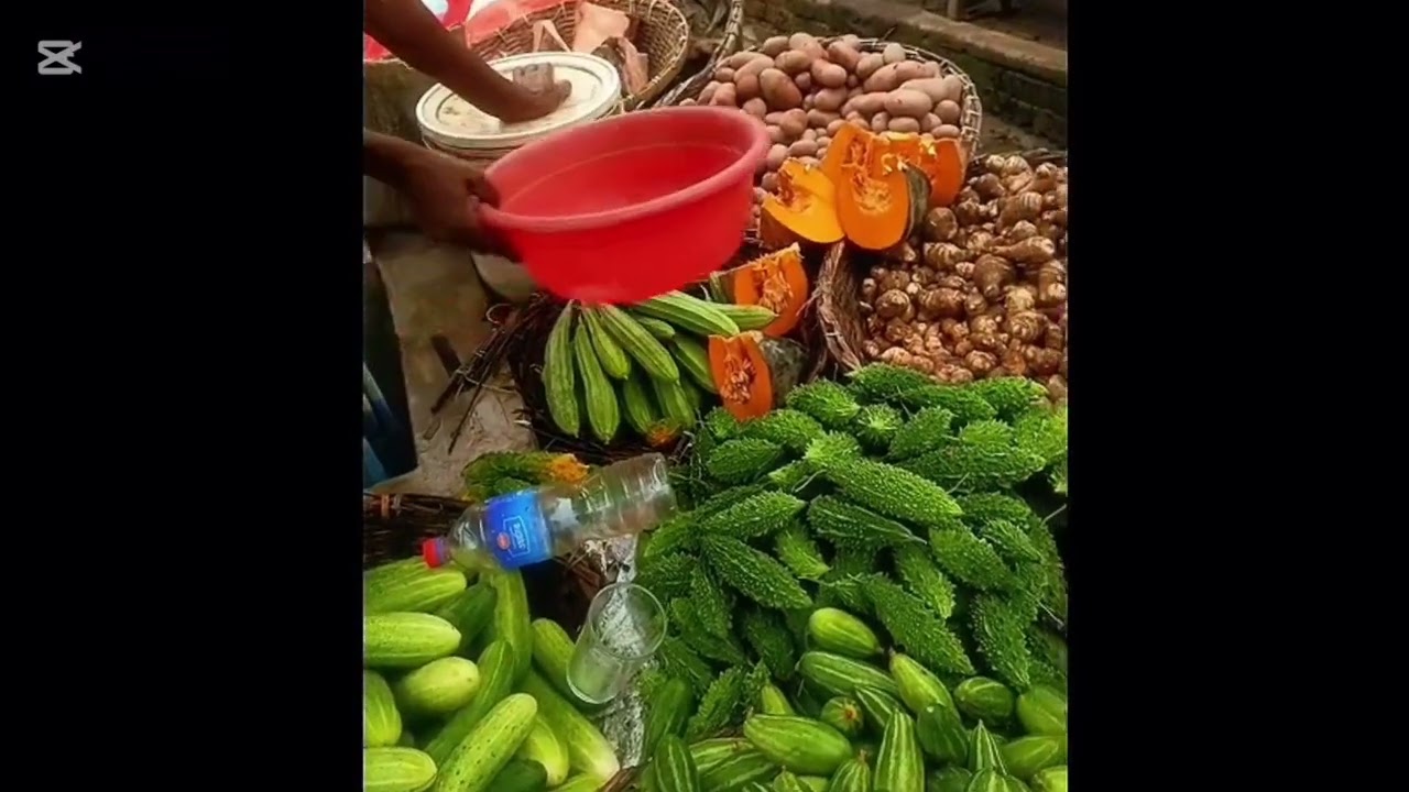 একা একা ম্যাচের বাজার করলাম @pjdivyaofficial #viral 