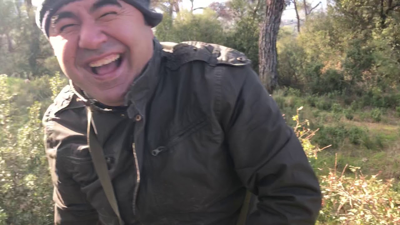 Meşe palamudu en güzel nasıl dikilir.